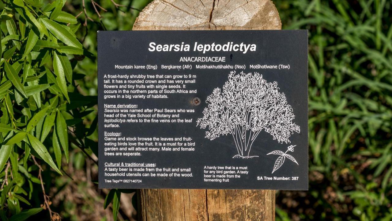 Iketla Lodge Ohrigstad エクステリア 写真